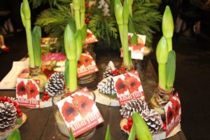 Trendsetting Products and Ideas From TPIE 2017