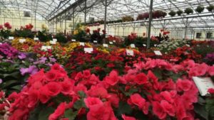 2016 Welby Gardens Field Trials Results