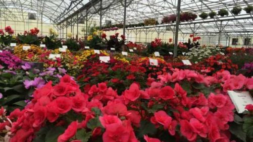 2016 Welby Gardens Field Trials Results