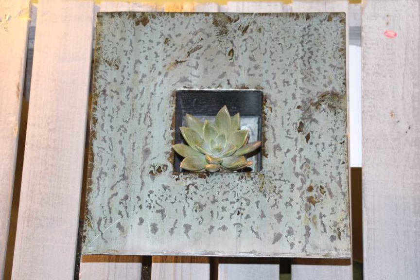 Trendsetting Products and Ideas From TPIE 2017