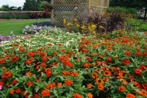 2016 University of Minnesota Field Trials Results