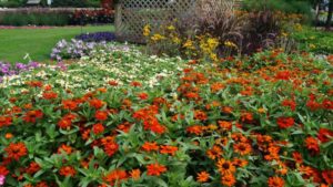 2016 University of Minnesota Field Trials Results