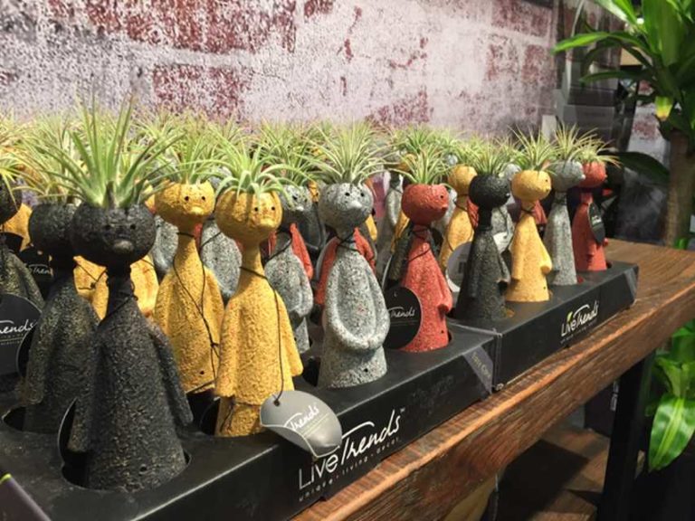 Air Necklace, Living Locket, and Thinkers (LiveTrends Designs Group, LLCSK USA)