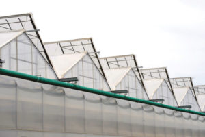Apex Greenhouse (Westbrook Greenhouse Systems Ltd.)