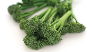 Growing Tips for Sakata Vegetables’ ‘Aspabroc’ Broccolini