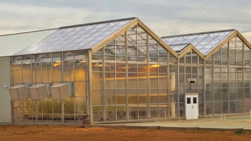 7 Factors That Can Determine the Cost of Building a New Greenhouse