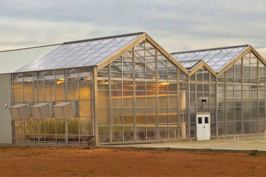 CS3 Greenhouse (Stuppy)
