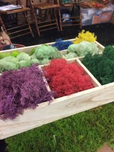 Colored Moss (Mossman, Inc.)