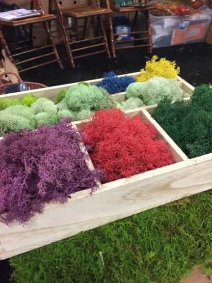 Colored Moss (Mossman, Inc.)