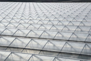 F-Clean Greenhouse Film Close-up (AGC Chemicals Americas)