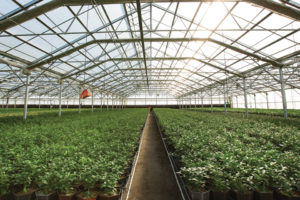 Gable Series 7500 (Conleys)