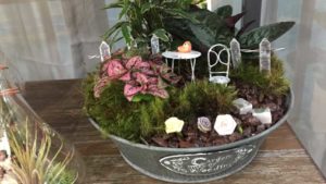 Cool Product Awards from Garden Retailers Announced at TPIE 2017