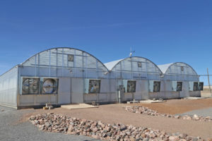 GrowSpan Series 1000 Greenhouse (GrowSpan)
