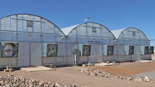 New Greenhouse Structure Models Emphasize Crop Protection, Energy Efficiency