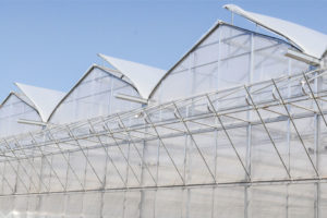 Half Open-Roof Greenhouse (GGS)