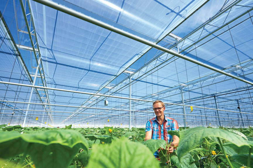 Luxous 1147 FR Climate Screen (Ludvig Svensson)