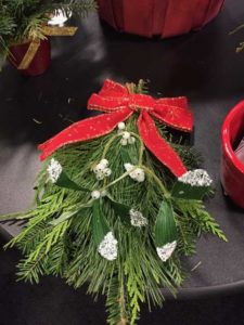 New Creative Package for Christmas Impulse Purchase (Bottomley Evergreens)