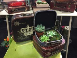 New Decorative “Travel Collection” Containers (Braun Horticulture, Inc.)