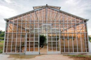 PanePower Glass Panels (Brite Solar)