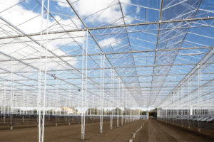 RBI Highlight Venlo Greenhouse (Rough Bros.)