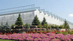 The Top 15 Stories of the Year in the Greenhouse Market (So Far)