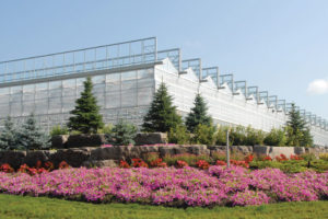 Skyline Greenhouse (Westbrook Greenhouse Systems Ltd.)