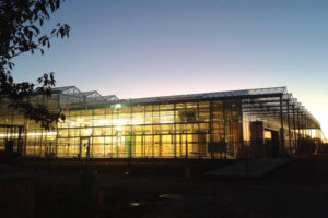 Venlo Style Greenhouse (JGS)
