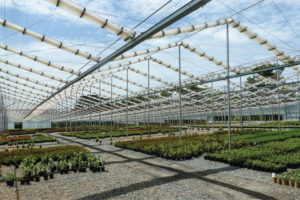 X-Frame Retractable Roof Greenhouse And Shadehouse (Cravo)