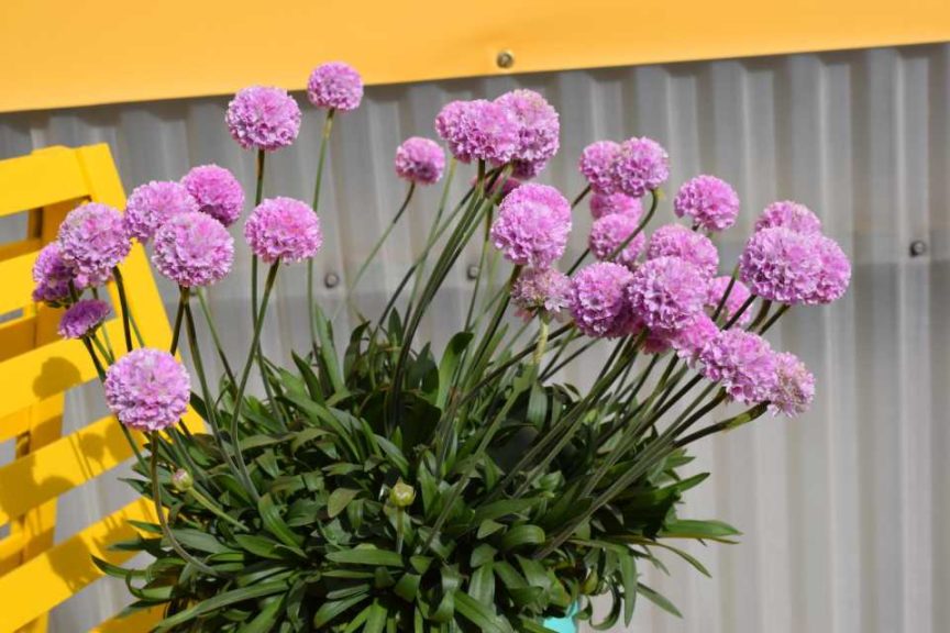 Dr. A's Top Picks for Day 5