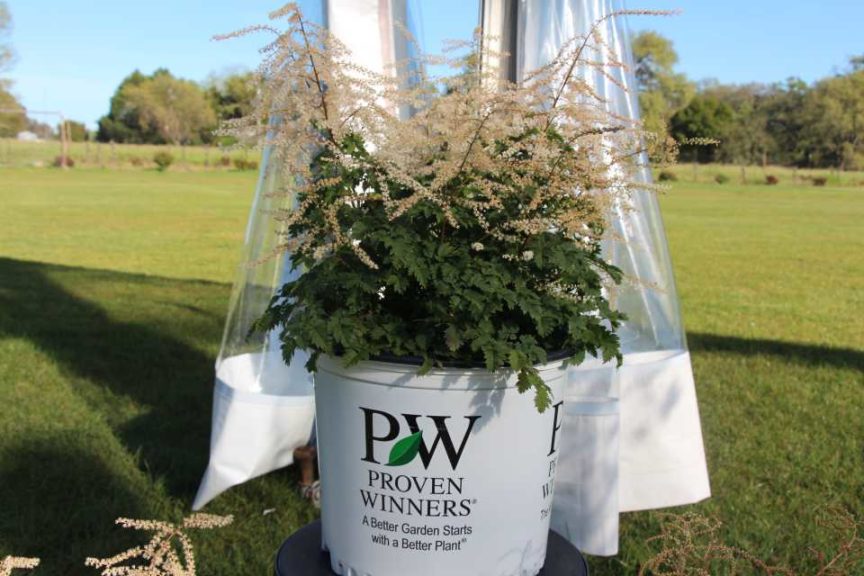 Day 1 - California Spring Trials 2017