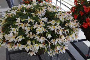California Spring Trials - Day Three