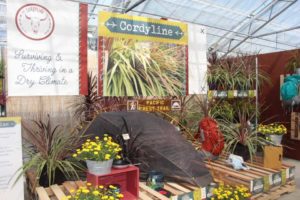 Day 2 - California Spring Trials 2017