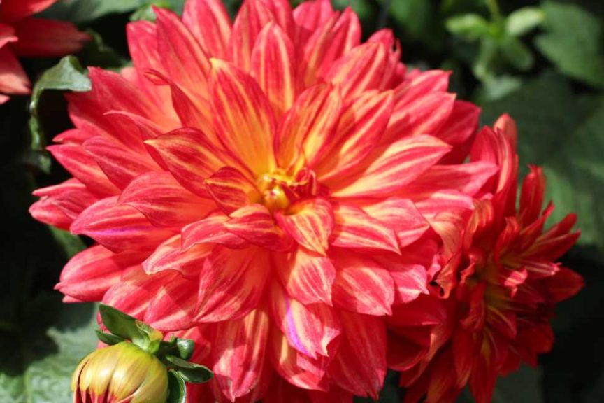 Day Four - California Spring Trials 2017