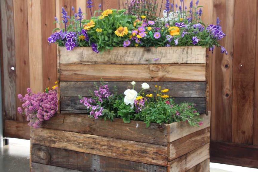 Day 1 - California Spring Trials 2017