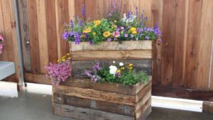 Danziger Innovation Session Tackles Evolving Consumer Floral Needs