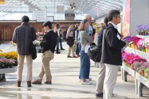 Day 1 - California Spring Trials 2017