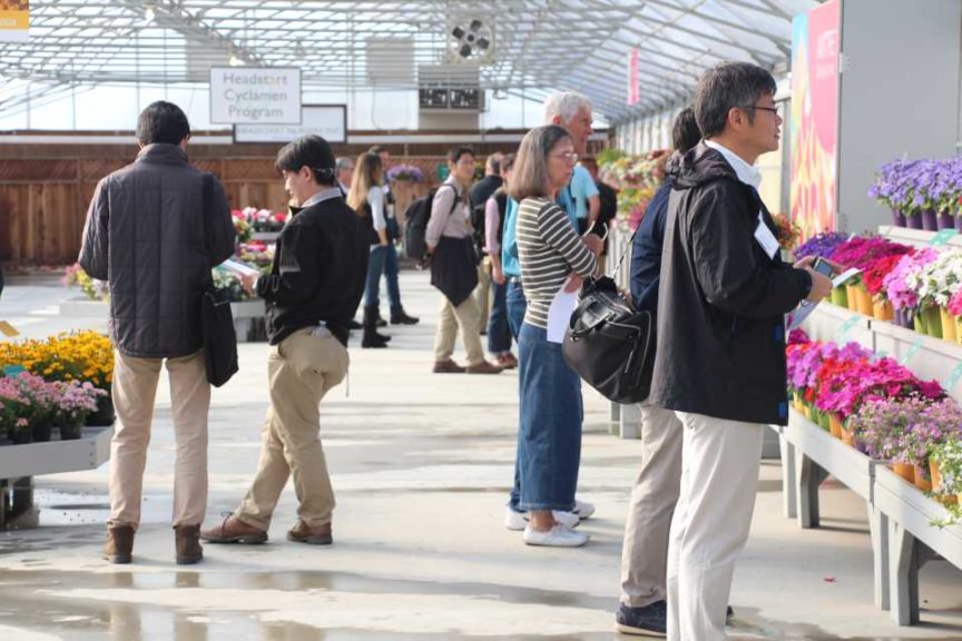 Day 1 - California Spring Trials 2017