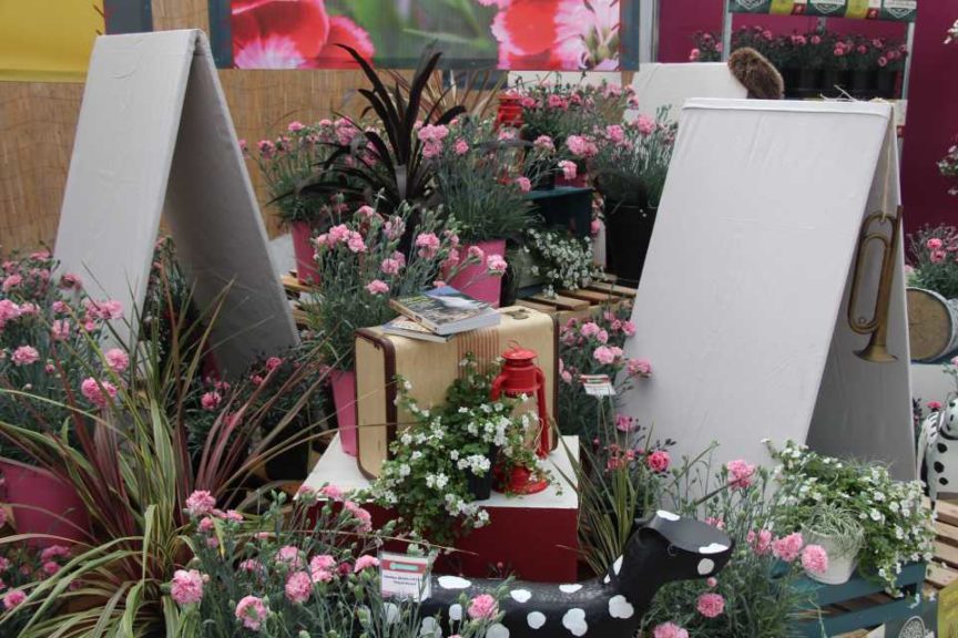 Day 2 - California Spring Trials 2017