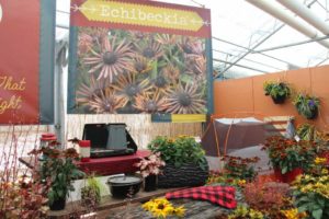 Day 2 - California Spring Trials 2017