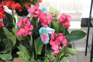 California Spring Trials: Day Three