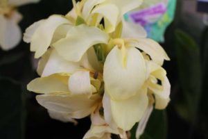 California Spring Trials: Day Three