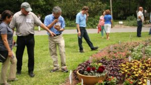 Florida Flower Trials Move Online