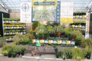 Day 2 - California Spring Trials 2017