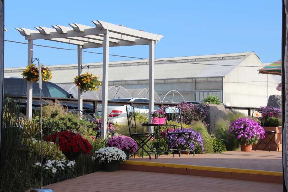 California Spring Trials Day Five: Notable New Plant Varieties from ...
