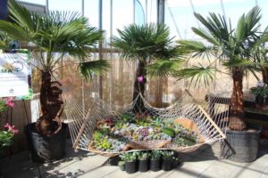 California Spring Trials: Day Three