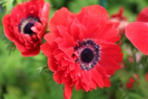 California Spring Trials: Day Three