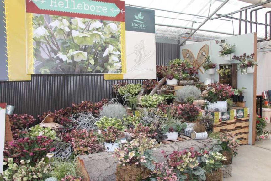 Day 2 - California Spring Trials 2017