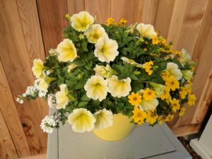 Cool Combos - Editor's Choice