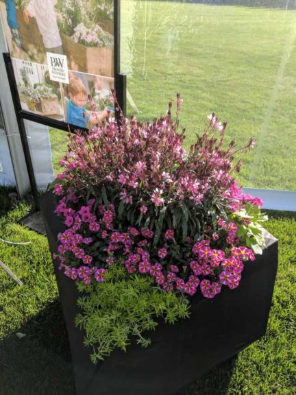 Cool Combos - Editor's Choice