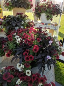 Cool Combos - Editor's Choice